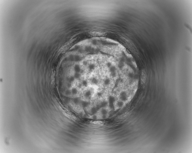 X0000100210409200806271708