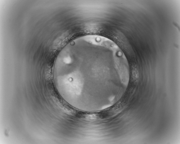 X0000100210411200806271708