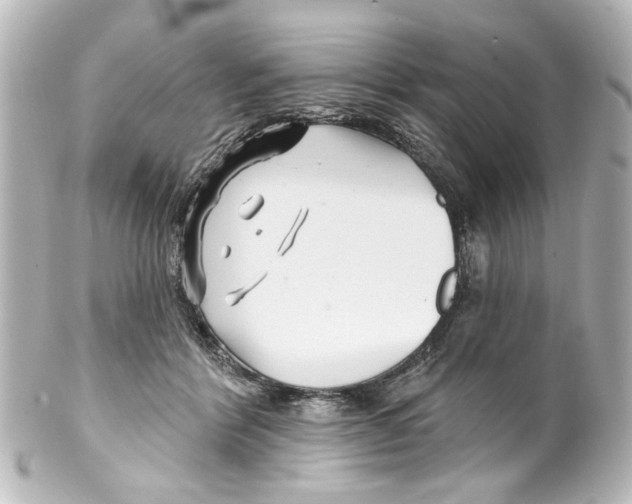 X0000100210412200806271708