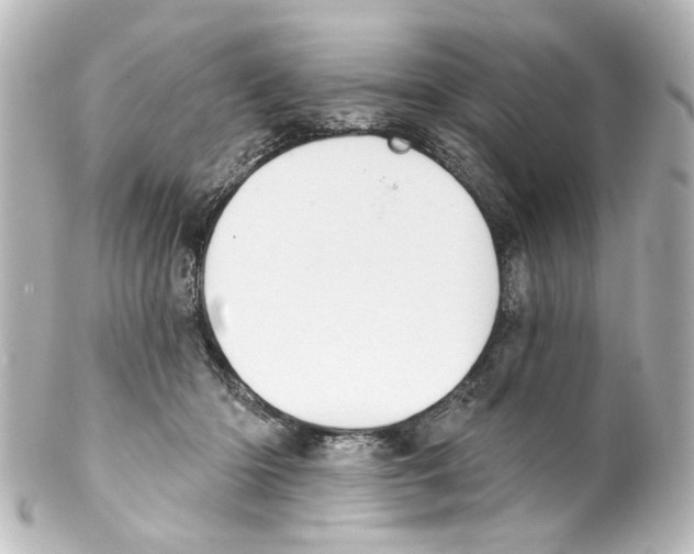 X0000100210414200806271708