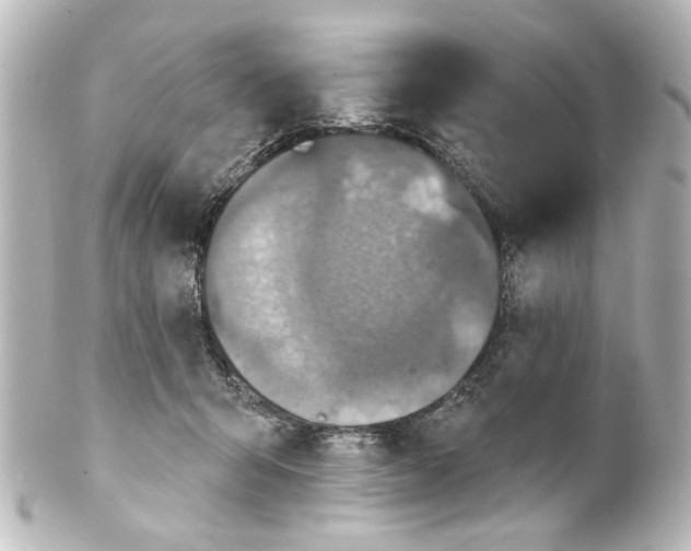 X0000100210415200806271708
