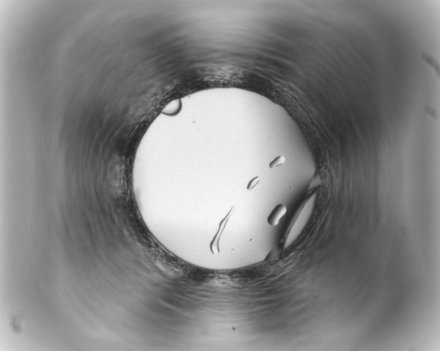 X0000100210416200806271708