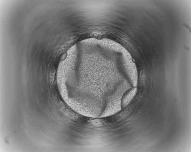X0000100210417200806271708
