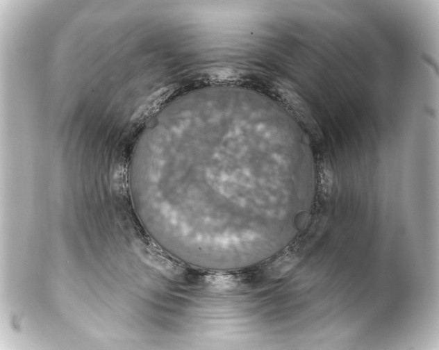 X0000100210419200806271708
