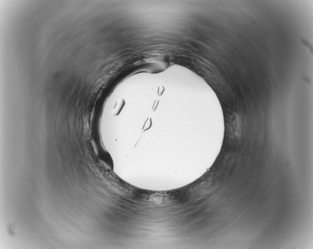 X0000100210420200806271708