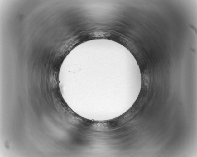 X0000100210422200806271708