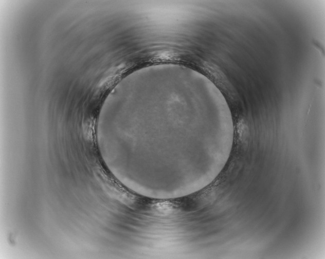 X0000100210423200806271708