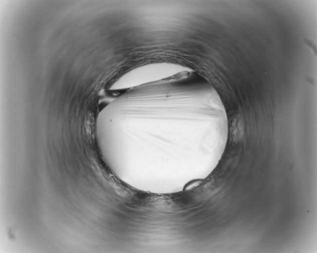 X0000100210424200806271708