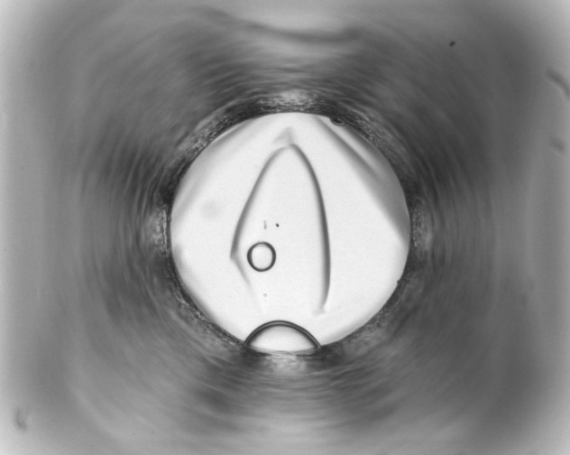 X0000100210425200806271708