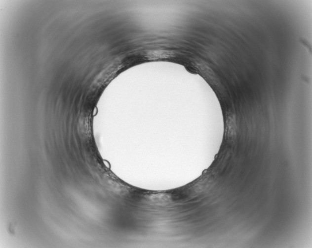 X0000100210426200806271708