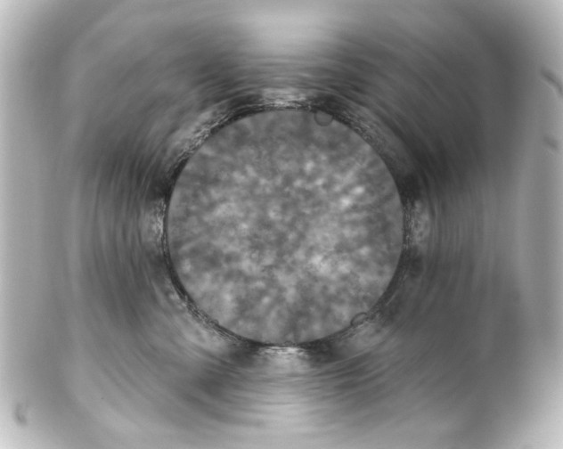 X0000100210427200806271708