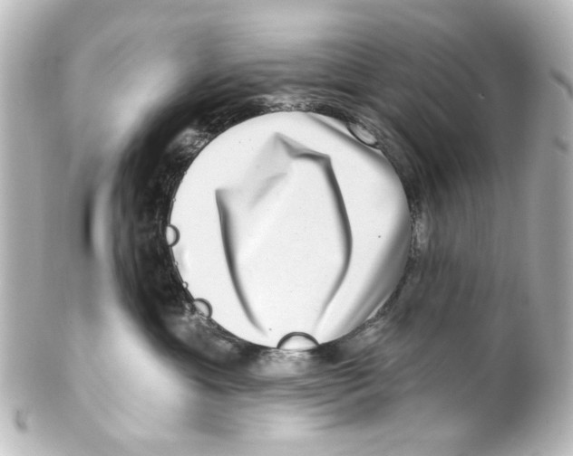 X0000100210429200806271708
