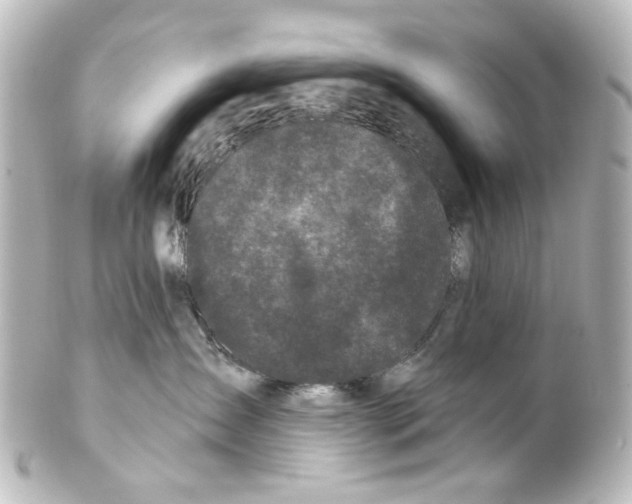X0000100210431200806271708