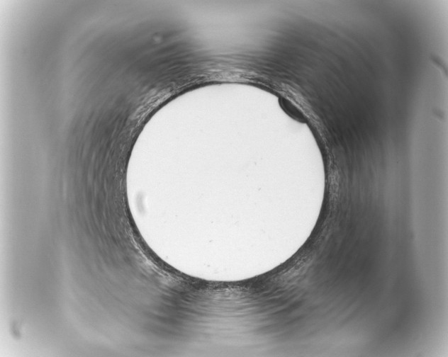 X0000100210433200806271707