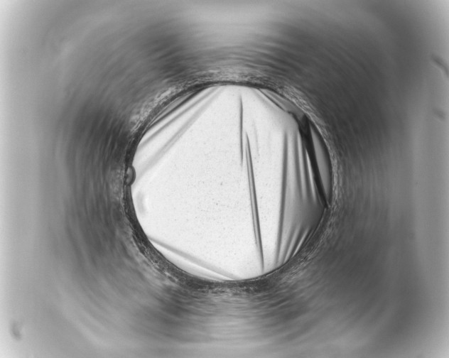 X0000100210434200806271707