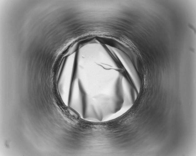 X0000100210436200806271708