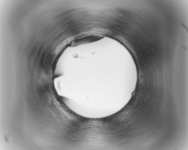X0000100210437200806271708