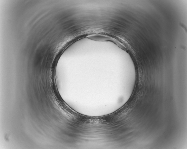 X0000100210439200806271708