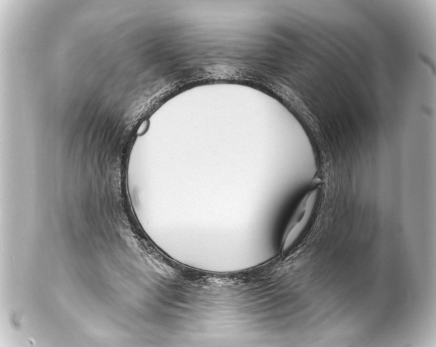 X0000100210442200806271708