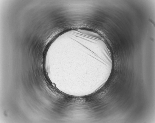 X0000100210443200806271708