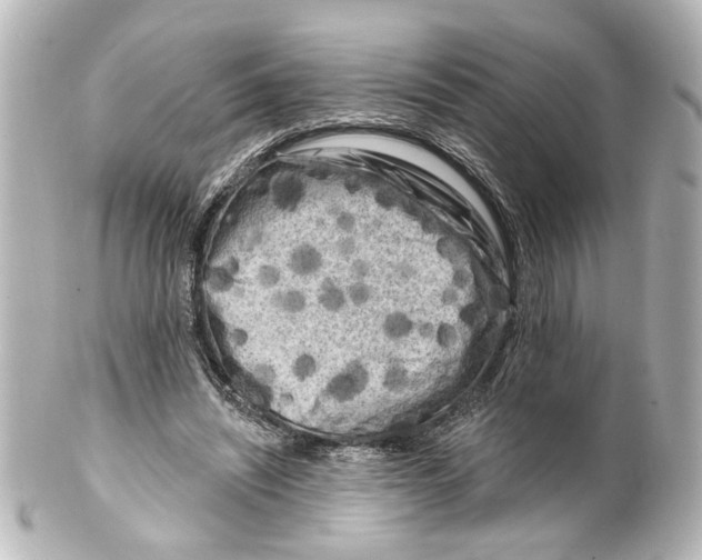 X0000100210444200806271708