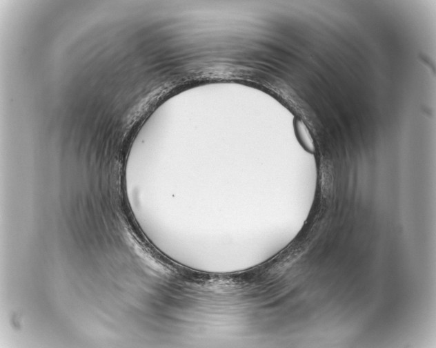 X0000100210445200806271708