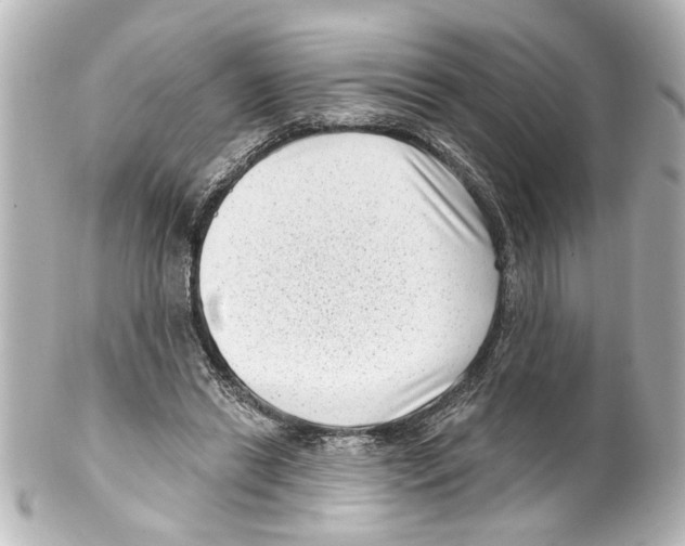 X0000100210446200806271708