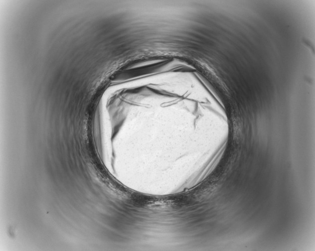 X0000100210447200806271708
