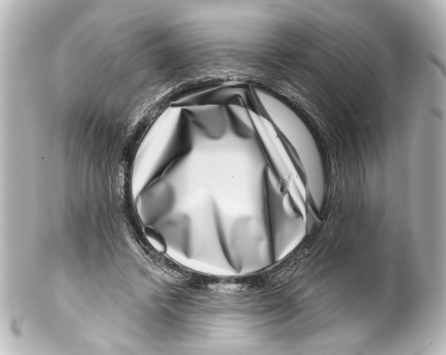 X0000100210448200806271708