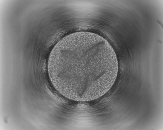 X0000100210451200806271708