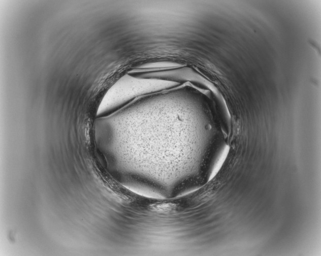 X0000100210452200806271708