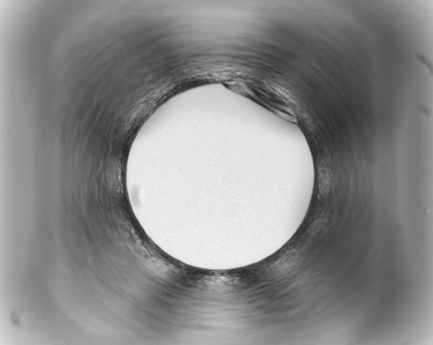 X0000100210453200806271708