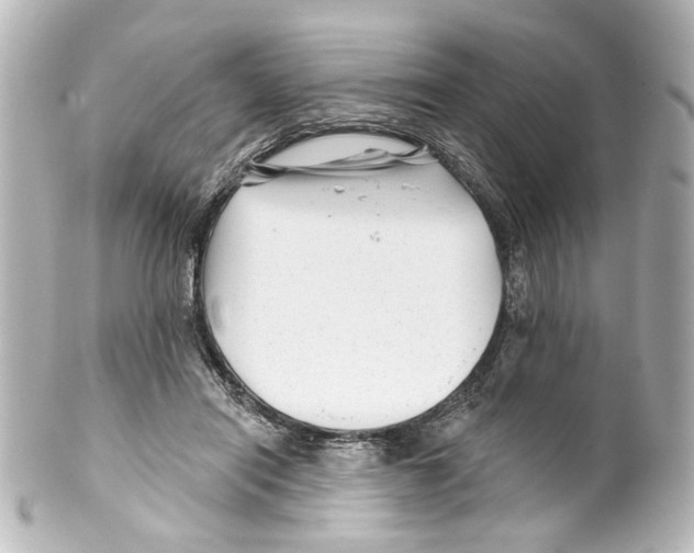 X0000100210454200806271708