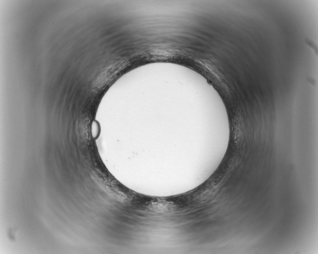 X0000100210455200806271708