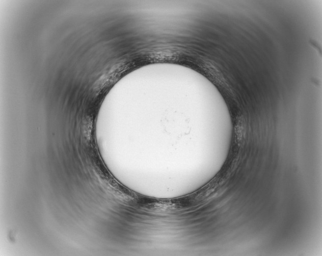 X0000100210458200806271708