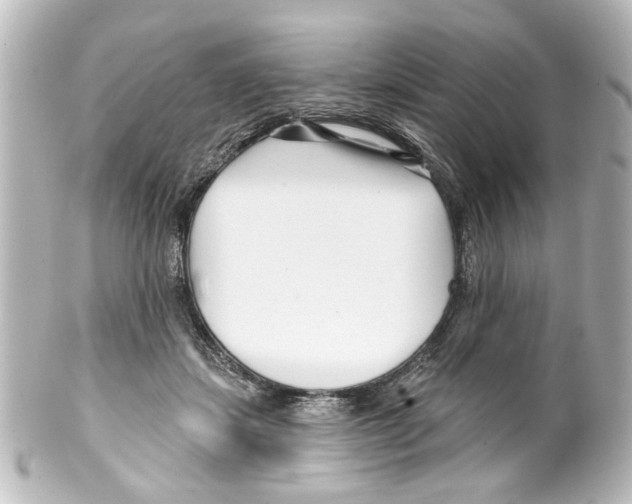 X0000100210459200806271708