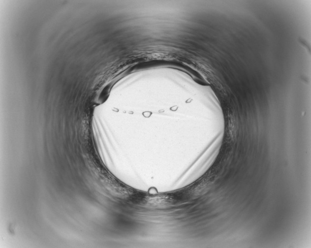 X0000100210461200806271708