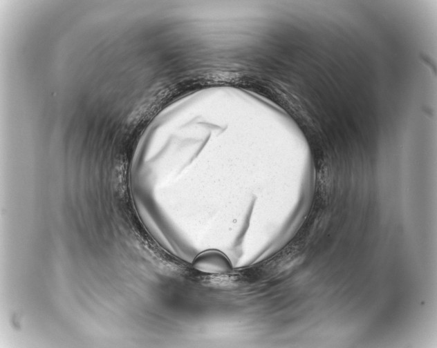 X0000100210462200806271708