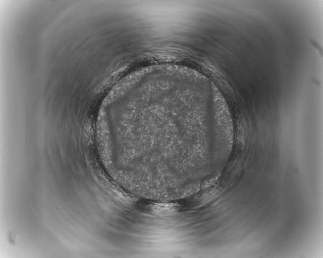 X0000100210465200806271708