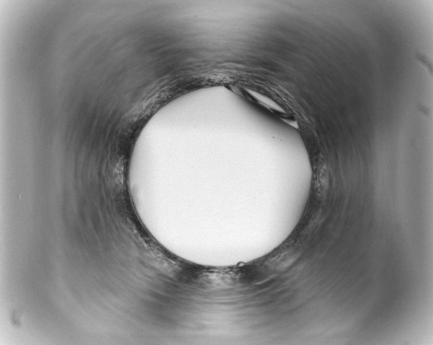 X0000100210466200806271708