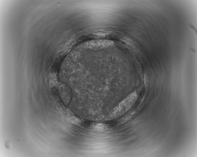 X0000100210467200806271708