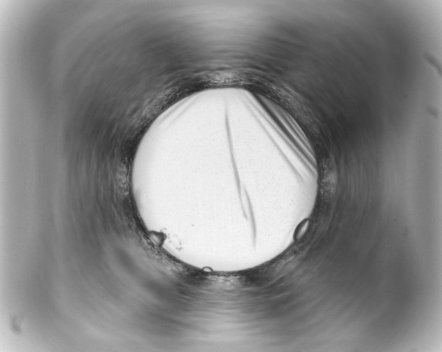 X0000100210469200806271708