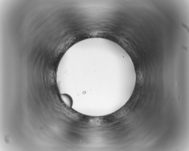 X0000100210470200806271708