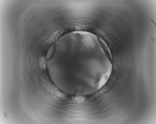 X0000100210471200806271708
