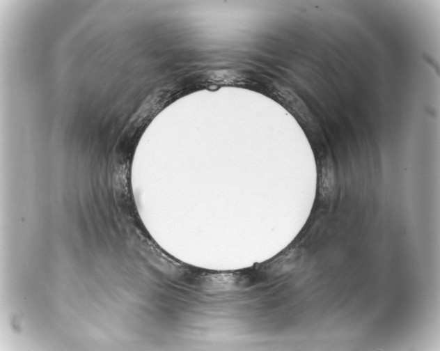 X0000100210473200806271708