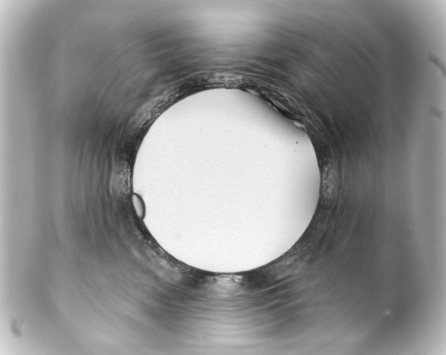 X0000100210474200806271708