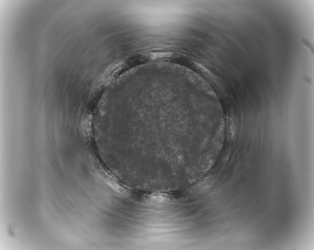 X0000100210475200806271708