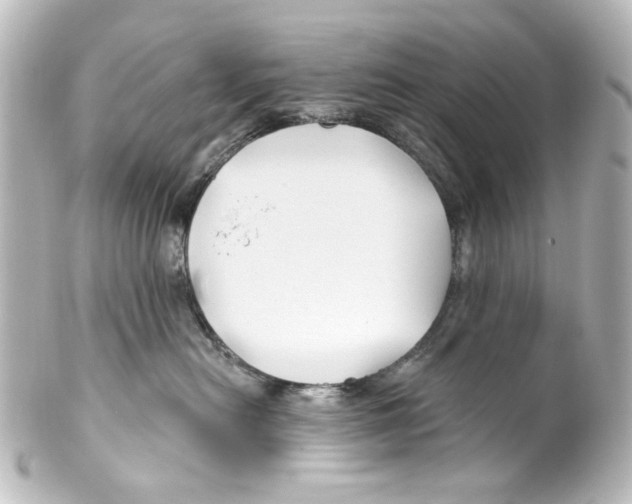 X0000100210478200806271708