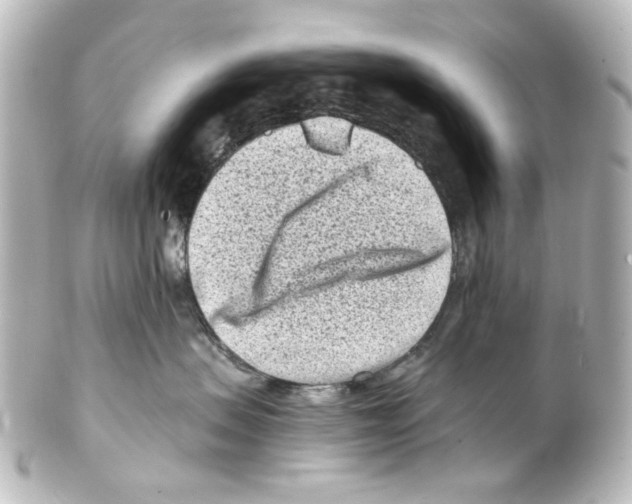 X0000100210479200806271708