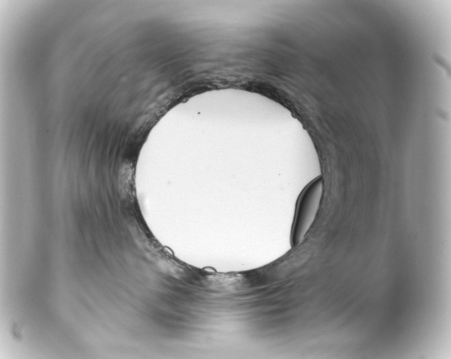 X0000100210480200806271708